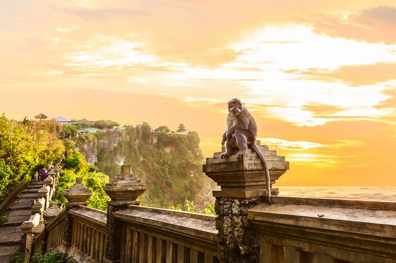 1 02 770 Bali Affe im Uluwatu Tempel bei Sonnenuntergang shutterstock 1032100670