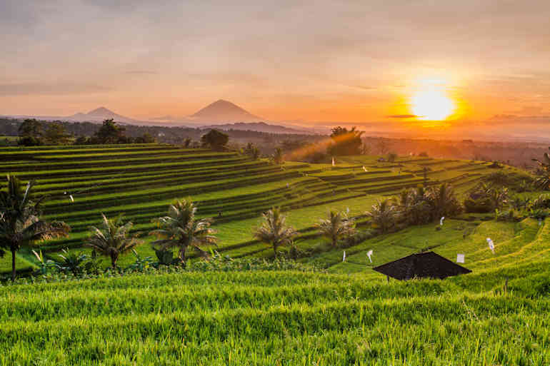 1 03 770 Rice terraces in mountains at sunrise shutterstock 539558285