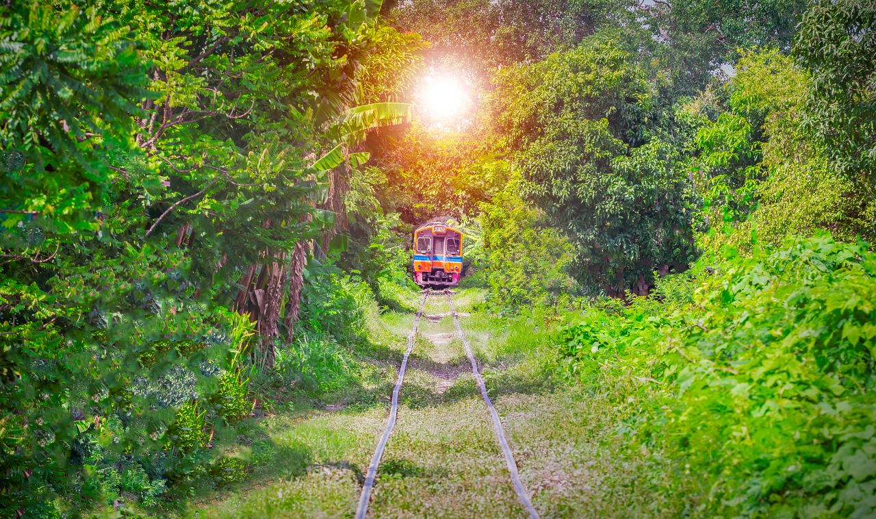1280 Anders Tunnel of Love Romantic railroad tunnel tree with the train shutterstock 1178551150