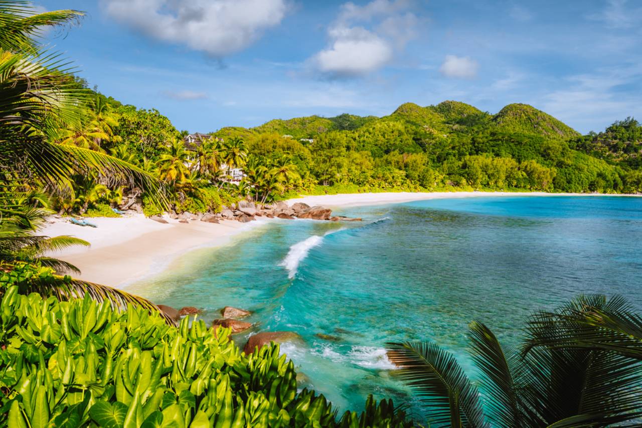 1280 Anse intendance tropical beach shutterstock 1699102606