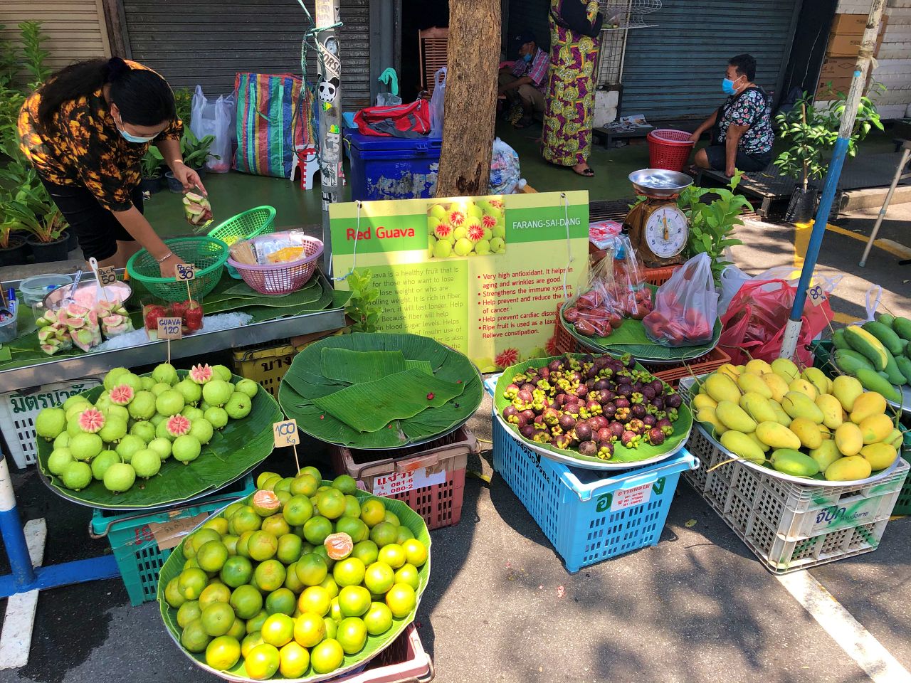 1280 Authentisch Chatuchak Flower Market IMG 4200