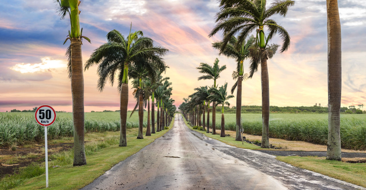 1280 Flic En Flac Road Mauritius shutterstock 1160987938