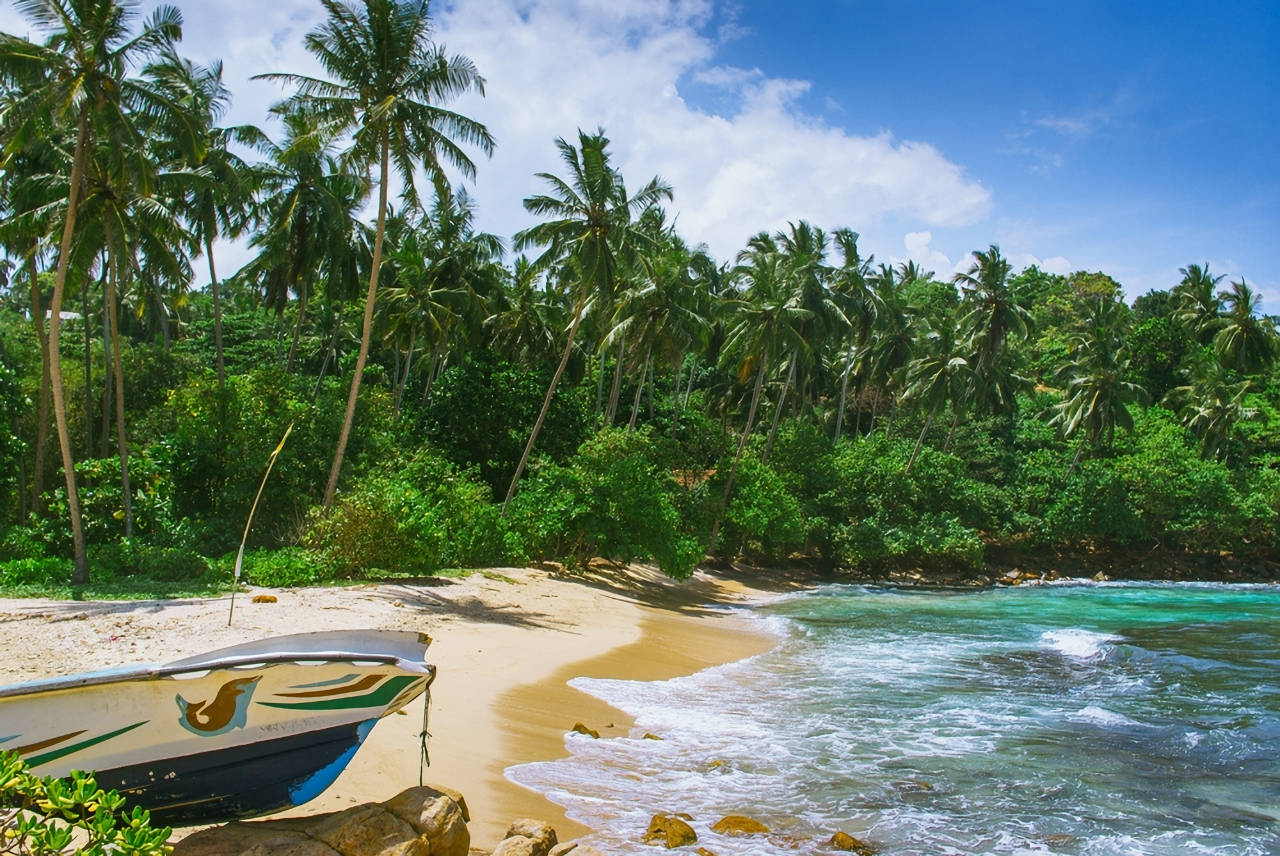 1280 Mirissa Tropical beach in Sri Lanka shutterstock 656696509