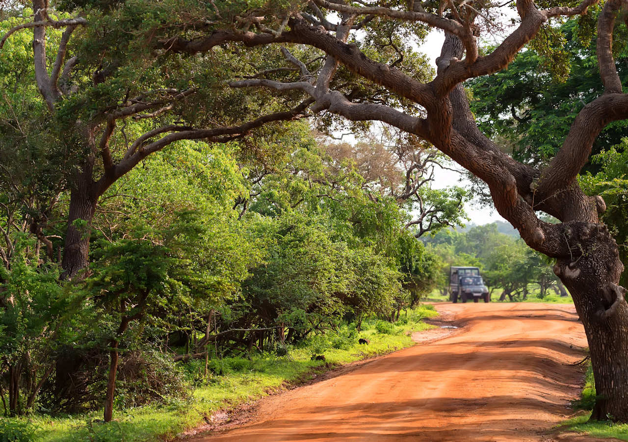 1280 Nationalparks Yala National Park shutterstock 734791171