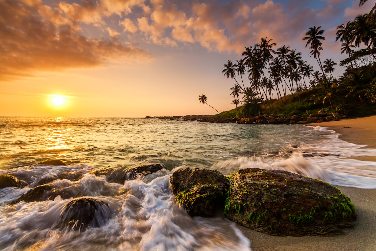 1280 Traumstraende beach with coconut palms