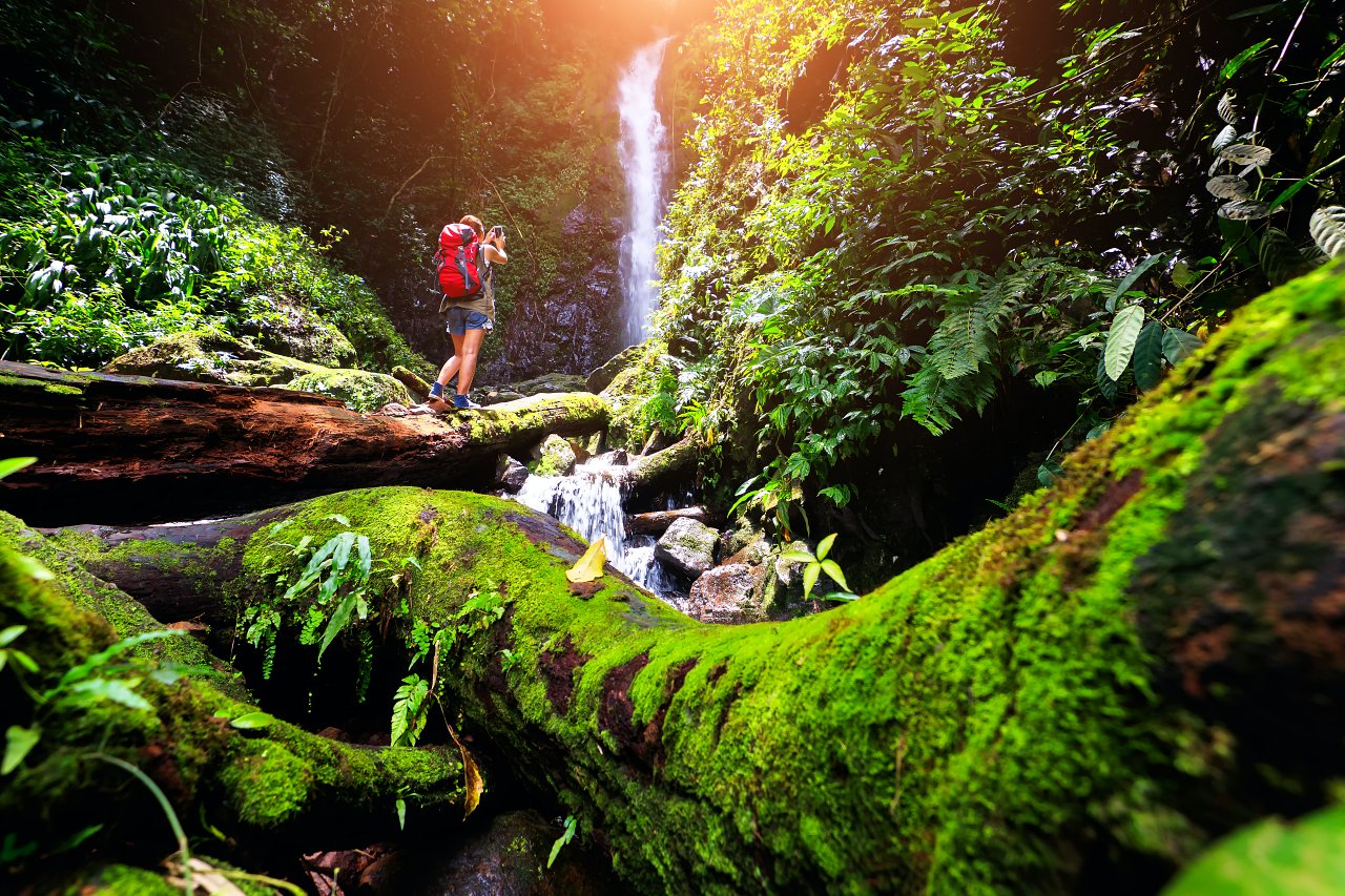 1280 im tropischen Regenwald in Nakornnayok Thailand