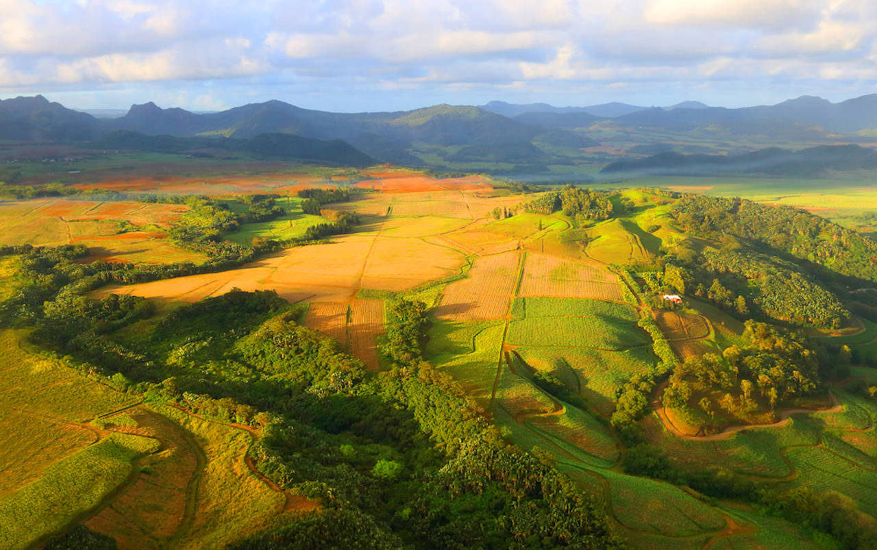 1280 rural landscape with sugar cane fields shutterstock 339127370