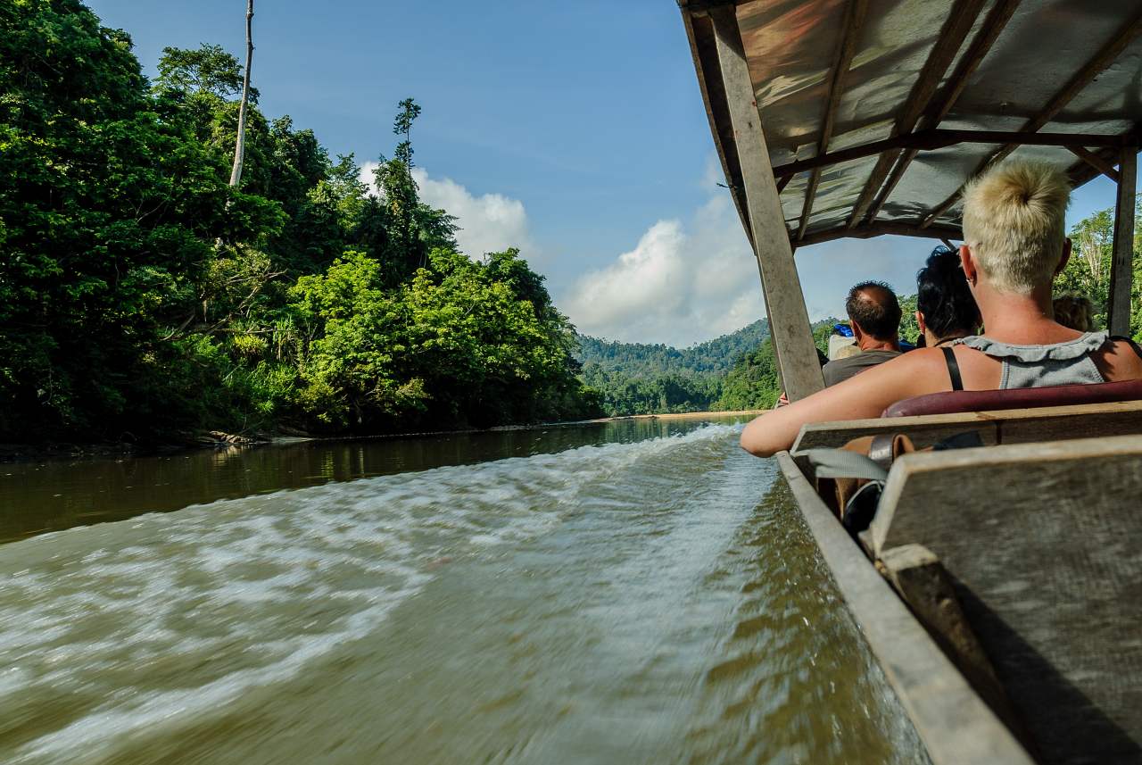 1280 scenery of the forest Taman Negara from the river Sungai Tembeling in Malaysia2