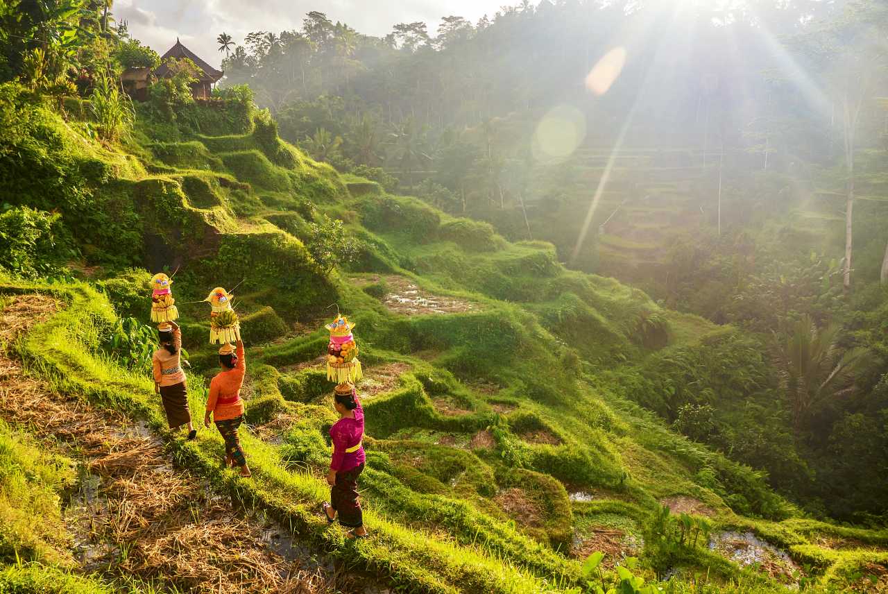 1280 traditional Balinese women ceremonial clothing and baskets of Hindu temple shutterstock 1050919616