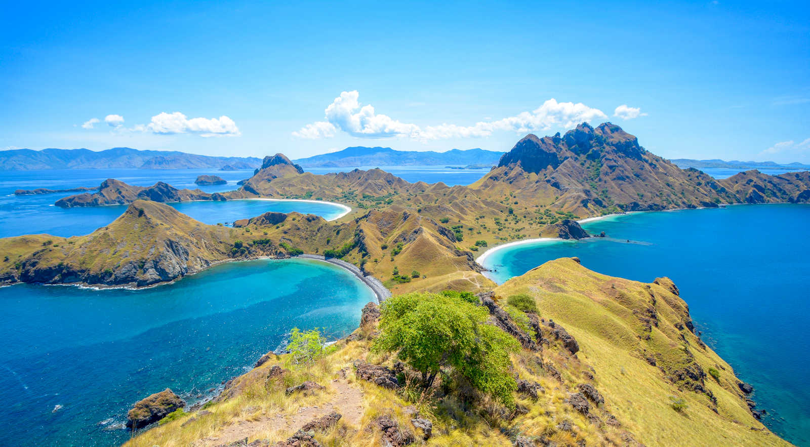 1600 Padar Island near Komodo Island shutterstock 448823072