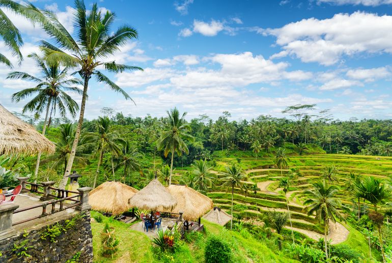 7 08 770 Bali Reisterrasse von Bali Island shutterstock 160176648