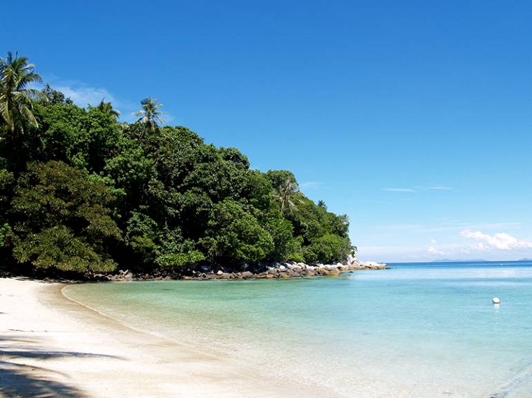 770 Coconut 5bf26105017c2109a00a4b11 img slide beach3
