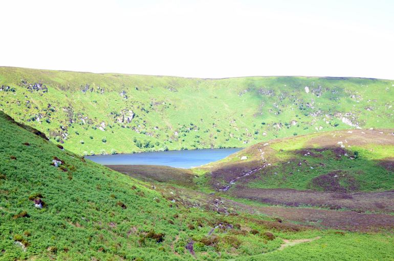 770 IRE DSC 0532