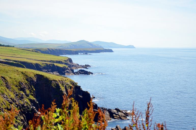 770 IRE DSC 1324