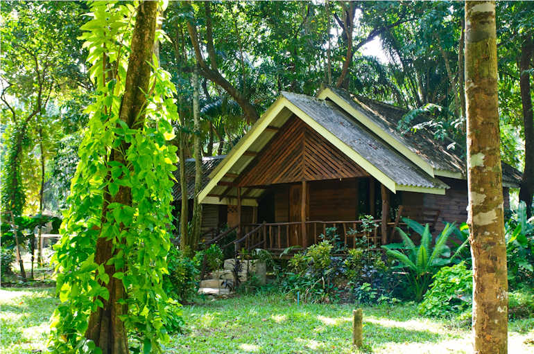 770 Room ForestTriple Exterior