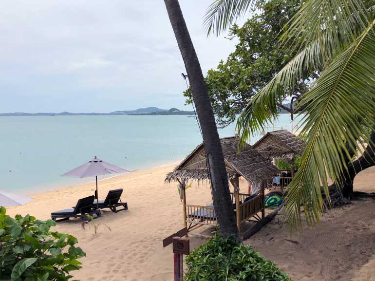 770 Saree Samui 20180912 033718758 iOS