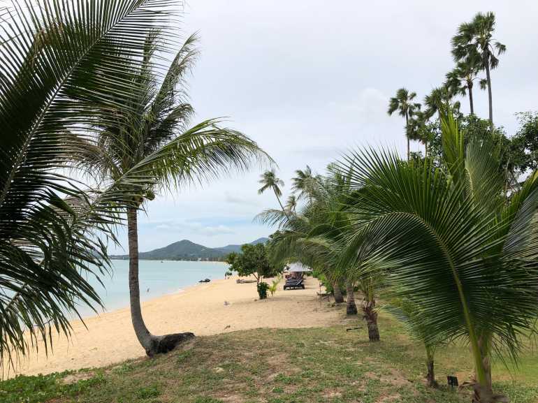 770 Saree Samui 20180912 034355683 iOS