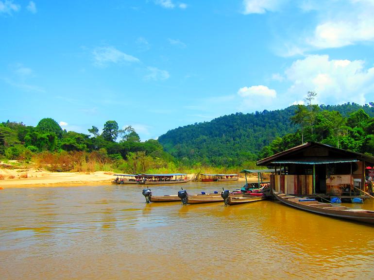 770 Taman Negara Taman Negara 