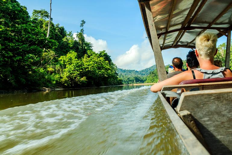 770 Taman Negara scenery of the forest Taman Negara from the river Sungai Tembeling in Malaysia2