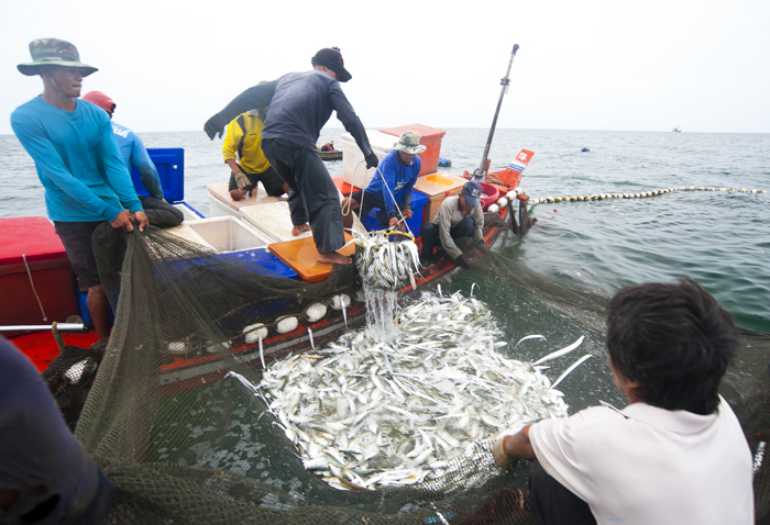 770 koh taluDSC 2726s