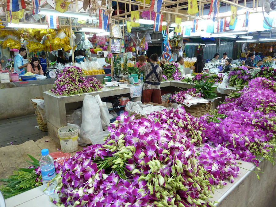 900 Selling Flower 