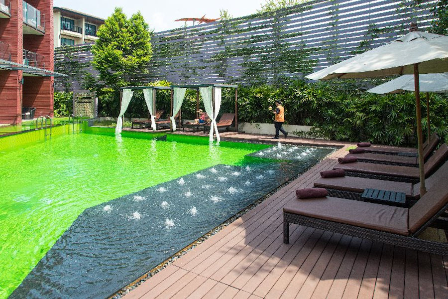 Web 900 Emerald Pool2
