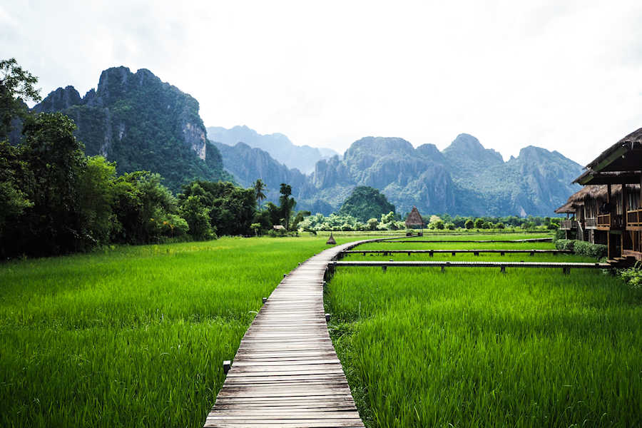 Web 900 Rice field at Vang Vien shutterstock 675782323