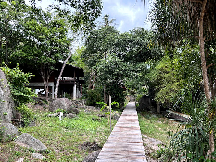 Web 900 Walk way