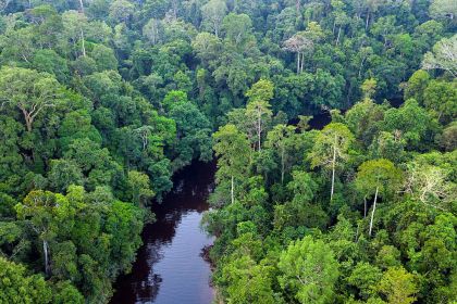 1280 Taman Negara tropical rainforest shutterstock 1092823418