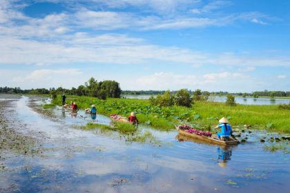 1280 flooding lotus field shutterstock 594546737
