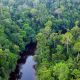 1280 Taman Negara tropical rainforest shutterstock 1092823418