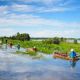 1280 flooding lotus field shutterstock 594546737