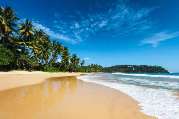 900 Sri Lanka Strandimpression shutterstock 240373141