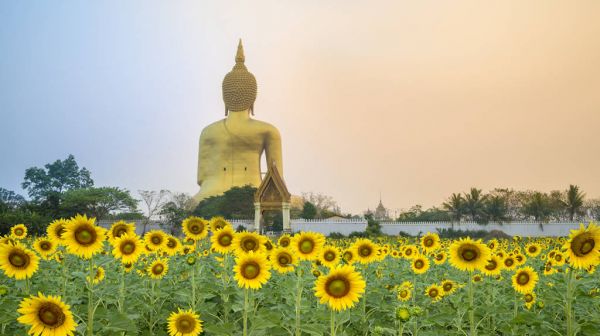 1024 Thailand beautiful landscape biggest golden Buddha sunrise shutterstock 387405907